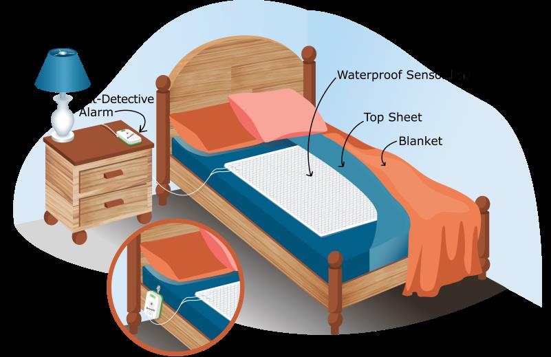 BedWetting Symptoms, Causes, Risk Factors, Diagnosis, Treatment
