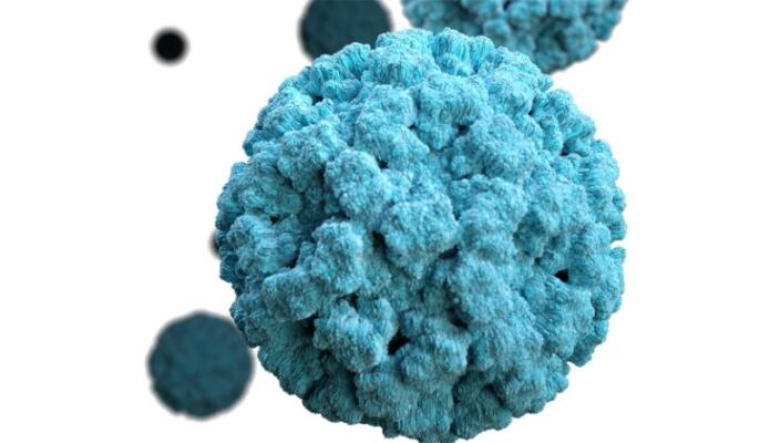 norovirus